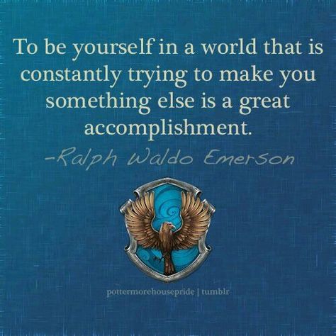 Ravenclaw Quotes, Ravenclaw Pride, Ravenclaw Aesthetic, Ravenclaw House, Harry Potter Ravenclaw, Harry Potter Houses, Harry Potter Fanfiction, Harry Potter Love, An Eagle