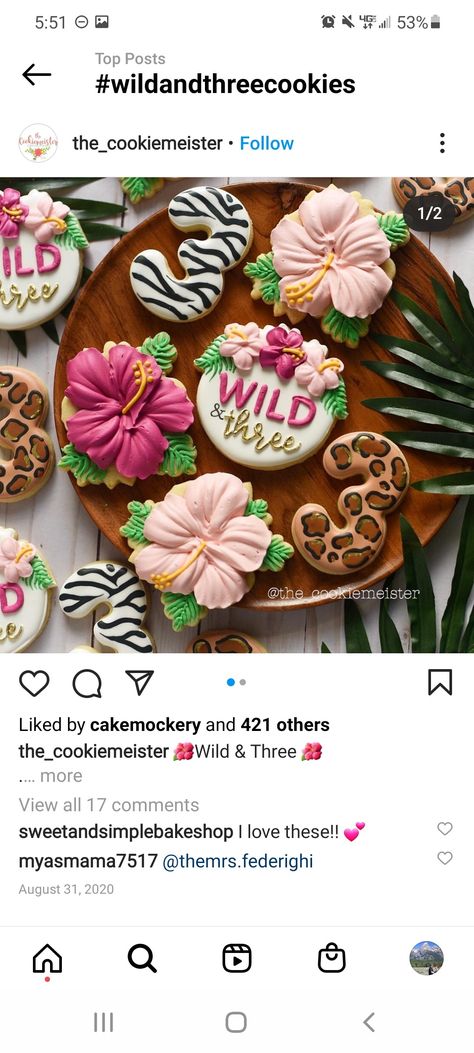 Young Wild And Three Safari Birthday, Two Wild Cookies Girl, Young Wild And Three Birthday Cookies, Two Wild Birthday Cookies, Wild And Three Cookies, Young Wild And Three Cookies, Two Wild Cookies, Jungle Animal Cookies, Number 3 Cakes