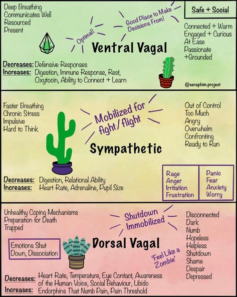 Polyvagal Theory, Nervus Vagus, Body Functions, Mental Health Therapy, Vagus Nerve, Reference Sheet, Therapy Counseling, Counseling Resources, Vie Motivation