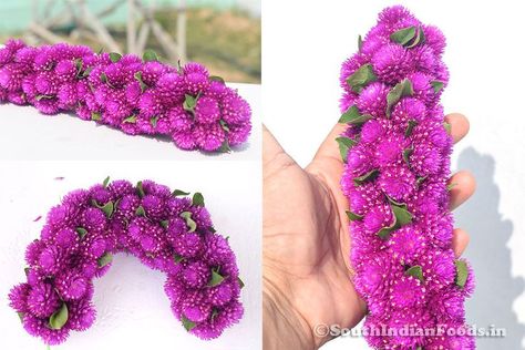 Vadamalli flower garland Garland Flower, Globe Amaranth, Hair Garland, Simple Kurta Designs, Flower Garland, Diy Garland, Amaranth, Flower Garlands, Indian Recipes