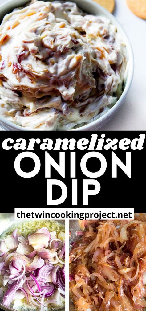 Red Onion Dip Recipe, Bbq Breakfast, Homemade Onion Dip, Blue Cheese Pasta, Burger Sandwich, Vegetarian Snack, Onion Dip Recipe, Night Picnic, Dip Easy