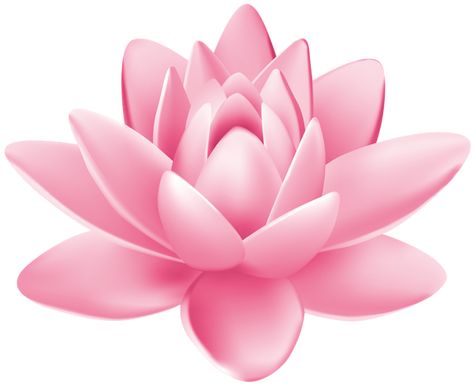 Water Lily Tattoos, Pink Water Lily, Hawaii Flowers, Lotus Flower Pictures, Happy Birthday Png, Lotus Flower Art, Rosé Png, Halloween Clips, Flower Drawing Design