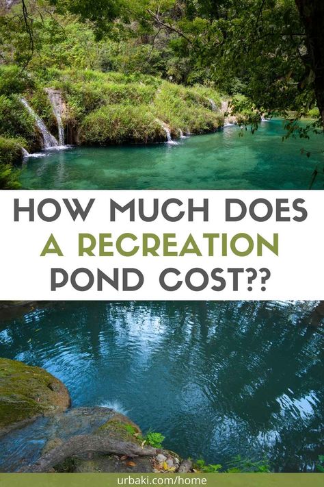 HOW MUCH DOES A RECREATION POND COST? Swim in a natural pool. A very frequent question is "How much does this cost?" Today we are looking at recreation ponds, swimming ponds, natural pools and talking about how much they cost. Plus, we'll take a look at what it's like to live in and care for one of these recreational ponds with Alan Decker of Decker's Pondscapes in Pattersonville, NY. This type of ponds attract the attention of anyone because they are of great beauty and totally... Diy Swim Pond, Swim Pond Diy Natural Pools, Recreational Pond Ideas, Pond Pools Backyard, Diy Swimming Pond, Swimming Pond Ideas, Swimming Ponds Backyard, Natural Pools Backyard Swimming Ponds, Diy Pond Pool