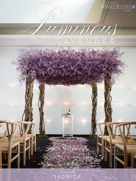 Twisted willow and lavender arch. Wedding Set Up, Wedding Set, Purple Flowers, A Wedding, Arch, Lavender, Weddings, Magazine, Purple