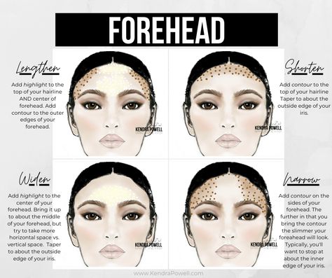 How To Contour for Your Features & Face Shape - Kendra Powell Contour To Make Face Fuller, Shorten Midface Makeup, Rectangle Face Makeup, Round Hairline, Makeup For Oval Face Shape, Forehead Contour, Narrow Forehead, Makeup Theory, Cosmetology Instructor