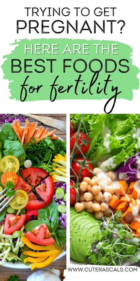 Foods For Fertility, Planning To Get Pregnant, Fertility Tea, Fertility Smoothie, Vegetarian Substitutes, I Am Pregnant, Fertility Help, Fertility Foods, Healthy Pregnancy Tips