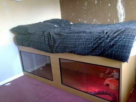 Bed viv!!! - Reptile Forums Snake Cage, Bearded Dragon Terrarium Ideas, Snake Cages, Diy Snake, Diy Reptile, Snake Terrarium, Bearded Dragon Terrarium, Bearded Dragon Cage, Snake Enclosure