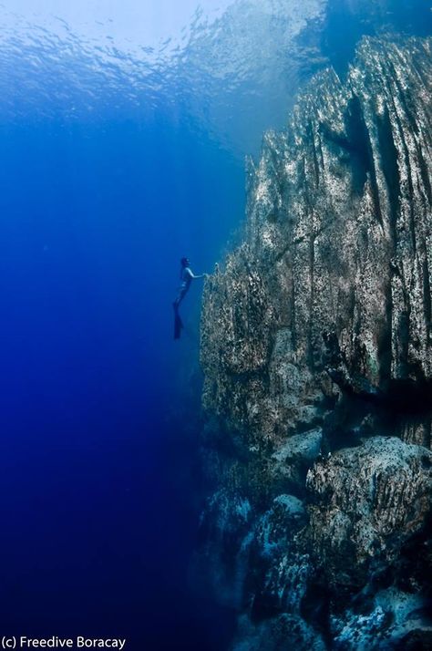 Holding on.. Barracuda Lake, Coron, Palawan Barracuda Lake, Asia Places, Coron Palawan, Visit Asia, Backpacking Asia, Free Diving, Coron, Philippines Travel, Palawan