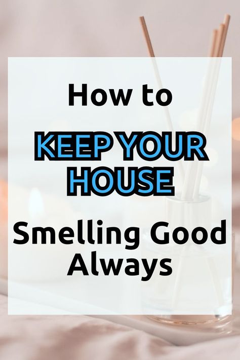 keep your home smelling good Keep House Smelling Fresh, Always Smell Good, Smelling Good, Your Trash, House Smell Good, S Alphabet, Food Scraps, House Smell, Dryer Sheets