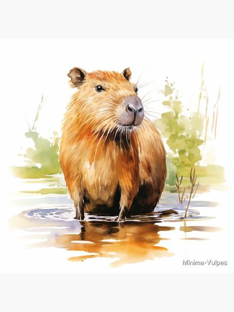 Capybara Watercolor, Capybara Drawing, Capybara Art, Watercolor Cat, Anatomy Reference, Creative Hobbies, Animal Photo, Animal Drawings, Colored Pencils