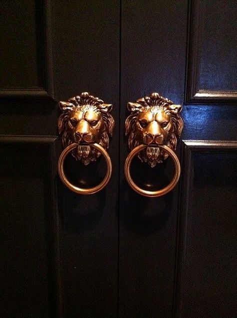 Black Door Knobs, Lion Door Knocker, Entry Door Handles, Trendy Door, Door Knobs And Knockers, Black Front Doors, Door Handles Interior, Front Door Handles, Glass Front Door