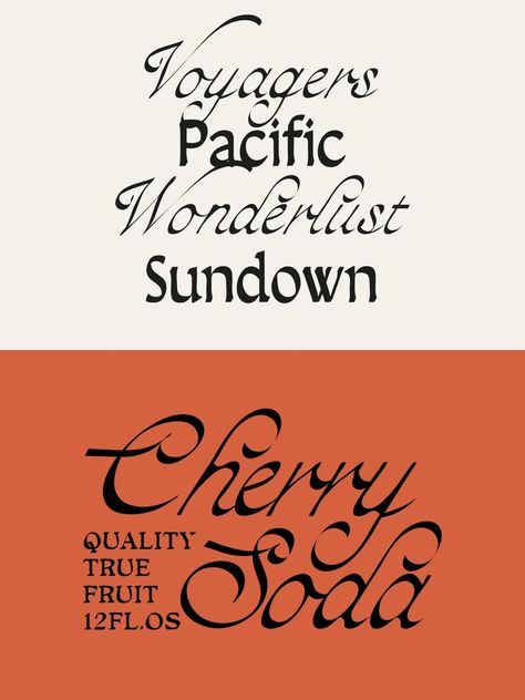 Karmasutra - Tropical Type - The Suppply Co Font Duos, Display Typography, Business Fonts, Script Typeface, Type Inspiration, Font Duo, Type Treatments, Modern Script Font, Cool Typography