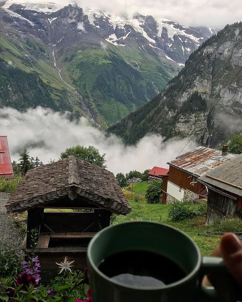 Shut the front door. This was me and my coffee and my morning view in Gimmelwald, Switzerland❤️🇨🇭 #coffee #peace #love #happiness #breakfast Gimmelwald Switzerland, Coffee Quotes Morning, Blonde Aesthetic, Quotes Morning, Mountain Coffee, Peace Love Happiness, Morning View, Coffee Photography, My Coffee