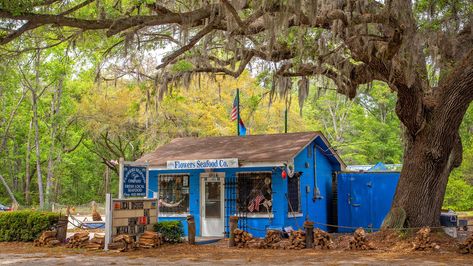 Deep South Aesthetic, Edisto Island South Carolina, Edisto Beach Sc, Outdoor Adventure Photography, Marsh House, Crawdads Sing, Beach Road Trip, South Carolina Vacation, Edisto Beach