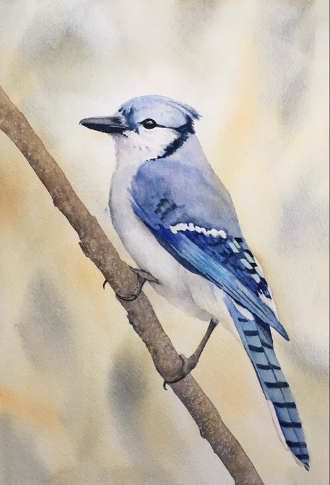 Bluejay Watercolor, Books For Moms, Blue Jay, Wildlife Art, Bird Art, Watercolor Painting, Still Life, Watercolor Art, Art Inspiration