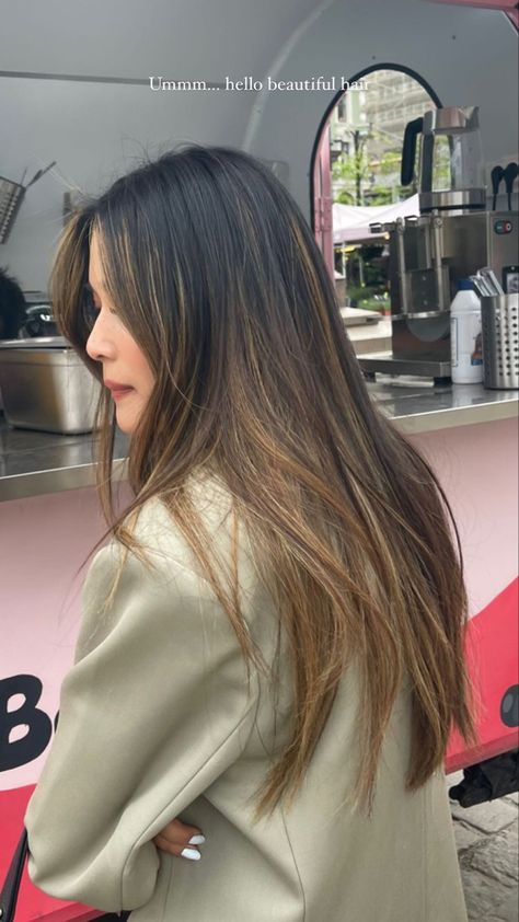 Highlits Hair Brown, Baylage Hair Black Hair, Highlights For Black Hair Asian Straight, Balayage Hair Brunette Asian, Balayage Asian Hair Straight, Asian Hair Highlights Straight, Black Hair Balayage Straight, Asian Light Brown Hair, Asian Hair Highlights Balayage