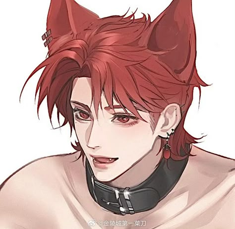 Demihuman Male, Demihuman Oc, Cat Boy Oc, Banner Material, Monster Boy, Demi Human, Movies Quotes Scene, Cat Boy, Cat Boys