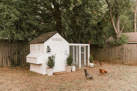 Cute Chicken Coops, Small Chicken Coops, Walk In Chicken Coop, Farm Chic, Chicken Coup, Coop Ideas, Coop Design, Coops Diy, Chicken Coop Designs