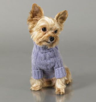 Ralph Lauren recommends the Yorkshire Terrier « aterrier Yorkie Names, Yorkie Mix, Yorkie Moms, Sweater Ideas, Knit Dog Sweater, Yorkshire Terriers, Blue Boy, Loving Life, Dog Training Collar