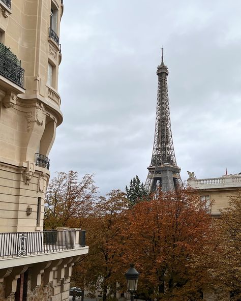 cosy spots in Paris to add to your list for visiting this autumn 🍂🤎☕️ all of these spots are equally perfect all year around, but just add to the cosy season aesthetic 🕯️ swipe to the end for details and save for your next trip 💌 . . . . . #paris #visitparis #autumninparis #autumnaesthetic #fallaesthetic #cosyspotsinparis #petitpalais #museedelavieromantique #parisrooftops #parisian #hiddengemsparis #thingstodoinparis #travelgram #travelphotography #parisfavourites #travelinspo #travelinsp... Paris November Aesthetic, Cosy Season, Spots In Paris, Paris Autumn, Paris In The Fall, Paris In Autumn, Season Aesthetic, Paris Rooftops, Paris Aesthetic