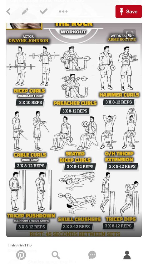 Rock arms Rock Workout, The Rock Workout, Arm Workout Routine, Bicep And Tricep Workout, Exercises For Men, Tricep Workout, Motivație Fitness, Arms Workout, Weekly Workout Plans