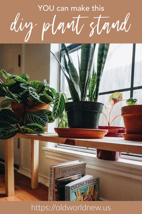 Ridiculously Easy DIY Plant Stand — Old World New Diy Plant Table Indoor, Diy Plant Table, Accessory Hacks, Easy Diy Plant Stand, House Greenery, Plant Tables, Plant Obsession, Window Plants, Backyard Designs