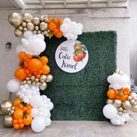 Cutie Balloon Garland, Twotti Fruitti, Cutie Orange, Citrus Party, Orange Theme, Baby Shower Background, Orange Baby Shower, Baby Shower Theme Decorations, Orange Balloons