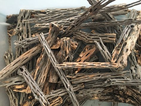 Cactus Wood, Shrimp Food, Cholla Cactus, Apache Tears, Wood Branch, Wood Cross, Wood Logs, Southwestern Decorating, Aquarium Decor