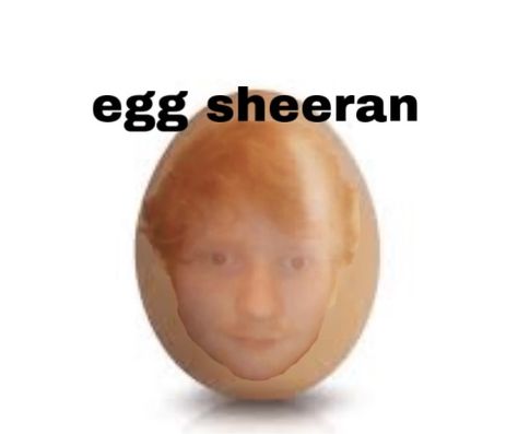 Egg Sheeran, Celebrity Puns, Egg Meme, Orange Man, Funny Cartoon Images, Rick Rolled, Funny Meems, Weird Things, Memes Xd