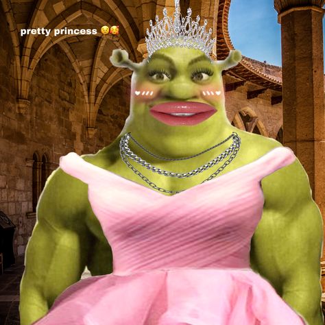 Shrek Core, Slay Shrek, Preppy Shrek, Shrek Aesthetic Cute, Shrek Quotes, Shrek Aesthetic, Pearl Core, Shrek Character, Shrek Funny