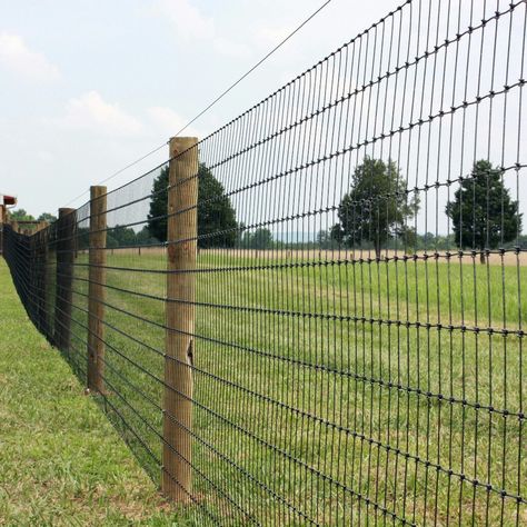 Cheap Horse Fencing, Cottage Fencing, High Tensile Fence, Ranch Fence, Horse Pasture, Ranch Fencing, Horse Fence, Diy Backyard Fence, Field Fence