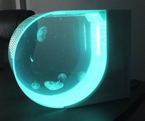 Jelly Fish Tank In House, Fish Tank In House, Jellyfish Pet, Jellyfish Tank Aquarium, Pet Jellyfish, Jellyfish Tank, Jellyfish Aquarium, Interior Lights, Marine Biology