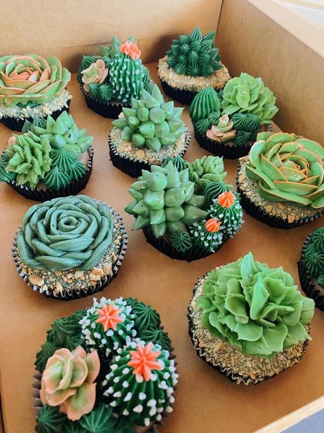 Succulent Cakes, Succulent Party, Succulent Cake, Cakes Design, Cupcake Decor, Cat Cupcakes, Cowboy Birthday Party, Cupcake Cake Designs, Cute Baking