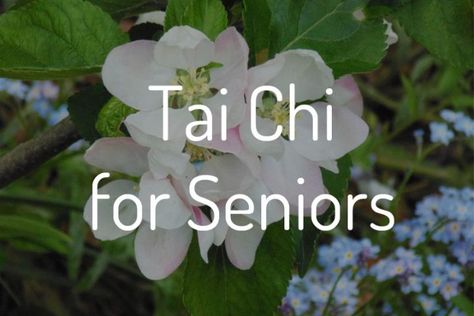 Qi Dong, Brain Retraining, Ti Chi, Senior Tips, Tai Chi Moves, Tia Chi, Qui Gong, Osteoporosis Exercises, Learn Tai Chi