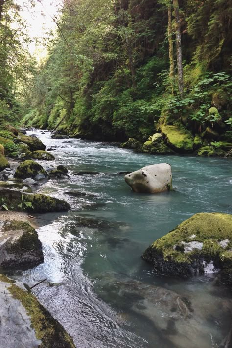 Boulder River trail | Darrington, WA Calm Landscape, Oregon Life, Boulder Creek, Landscape Elements, River Trail, Environment Concept Art, Aesthetic Images, Nature Images, Nature Aesthetic