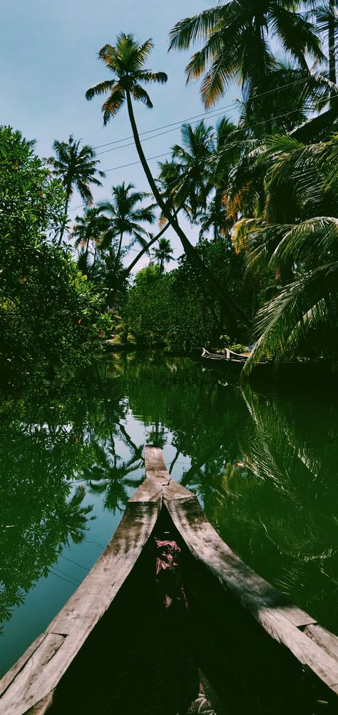 Munroe Island backwaters greenery Kerala Kollam Trivandrum Munroe best view Boating Vanji Munroe Island, Fake Aesthetic, Cool Instagram, Cool Instagram Pictures, Pretty Songs, Instagram Pictures, Kerala, Travel Inspiration, Exterior