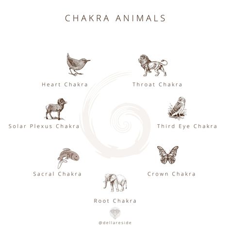 Learn the sacred power animals of the chakras, how the energy of the spirit animals aligns with the consciousness of each of the seven major chakras, and discover how using the chakra animal totems and the qualities of the classic elements: earth, water, fire, air, and ether can unblock the energy centers. Blog by Della Reside. #chakra #animaltotem #spiritanimal #poweranimal #animalguide Unblocking Chakras, Native American Spirit Animals, Solar Plexus Chakra Healing, Sacral Chakra Healing, Chakra Tattoo, Himalayan Salt Bath, Throat Chakra Healing, Anahata Chakra, Root Chakra Healing