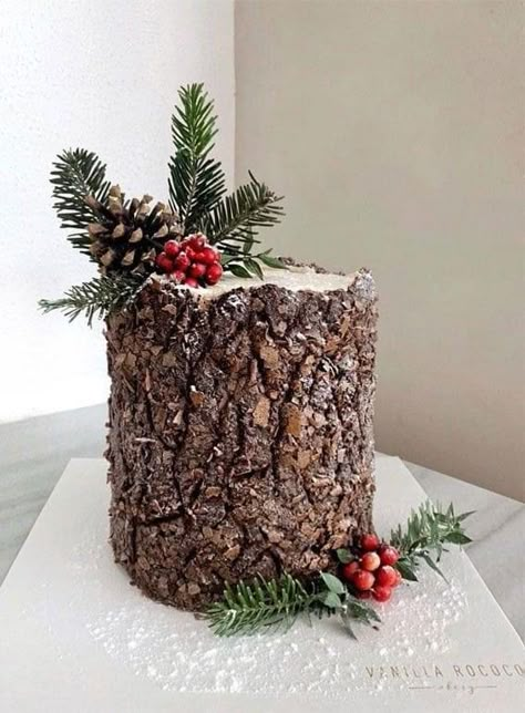 Winter Cake Ideas, Tree Stump Cake, Winter Torte, Fake Cakes, Christmas Themed Cake, Cakes Design, Woodland Cake, Christmas Cake Designs, Log Cake