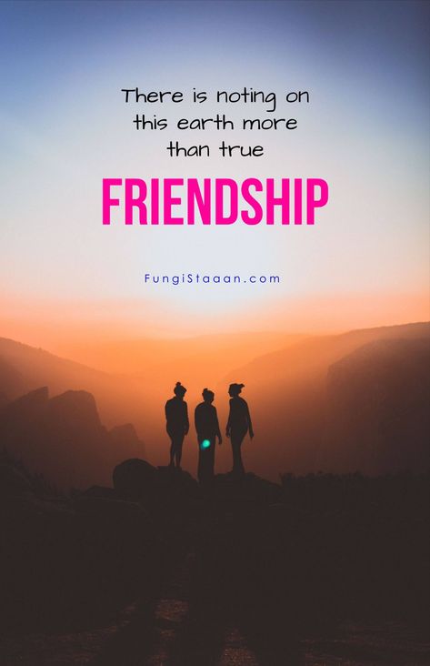 Friendship Images Pictures, Friendship Quotes In English, In English Quotes, Happy Friendship Day Images, Friendship Day Images, Friendship Wallpaper, Birthday Verses, Friendship Images, Best Friends Forever Images