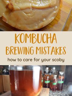 Kombucha Flavors Recipes, Making Kombucha, Kombucha Recipes, Best Kombucha, Kombucha Brewing, Diy Kombucha, Make Kombucha, Kombucha Benefits, Kombucha Flavors