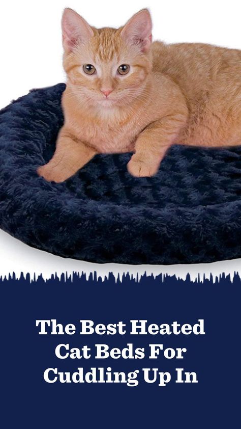 Give your cat something to purr about with these cozy heated cat beds. Heated Cat Bed, Cat Parents, Space Blanket, Cat Pad, Heat Pad, Older Cats, Cat Beds, Cat Parenting, Old Cats