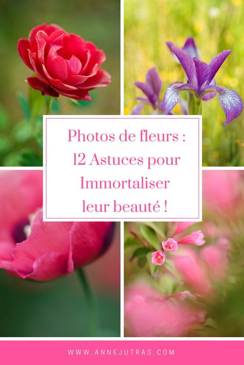 Photos de fleurs :12 astuces pour immortaliser leur beauté Montage Photo, Artistic Photography, Flowers Photography, Life Is Beautiful, Photo Art, For Sale, Flowers, Photography, Art