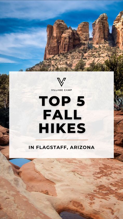 Flagstaff is a jaw-dropping destination for fall hikes, especially if you’re seeking the ultimate leaf peeping experience. Flagstaff is flush with abundant forests and offers numerous hiking trails that are perfect for enjoying the fall foliage. #fallhikes #hiking #hike #flagstaff #arizona #takeahike #fallinflagstaff Fall Hikes, Flagstaff Arizona, Leaf Peeping, Hiking Spots, Fall Hiking, Take A Hike, Flagstaff, Fall Foliage, Hiking Trails