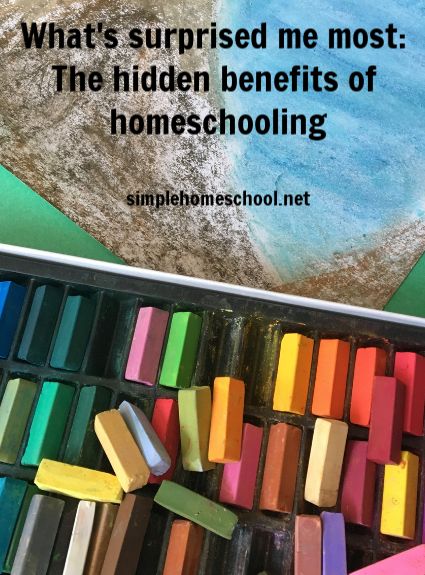 Pros And Cons Of Homeschooling, Homeschool Pros And Cons, Homeschool Mom Books, Charlotte Mason Vs Classical, Benefits Of Homeschooling, Learning Differences, Surprise Me, Homeschool Inspiration, Homeschool Help