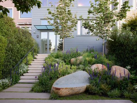 Evergreen Ground Cover Plants, Boulder Garden, Sloped Garden, Ground Cover Plants, Pollinator Garden, Garden Oasis, Garden Landscape Design, Lush Garden, Ornamental Grasses