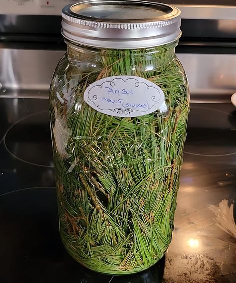 Pine Sol Cleaning, Mason Jar Recipe, Pine Sol, Pine Boughs, Natural Cleaning Solutions, Crafting Recipes, Natural Air Freshener, Cleaning Items, Natural Cleaning