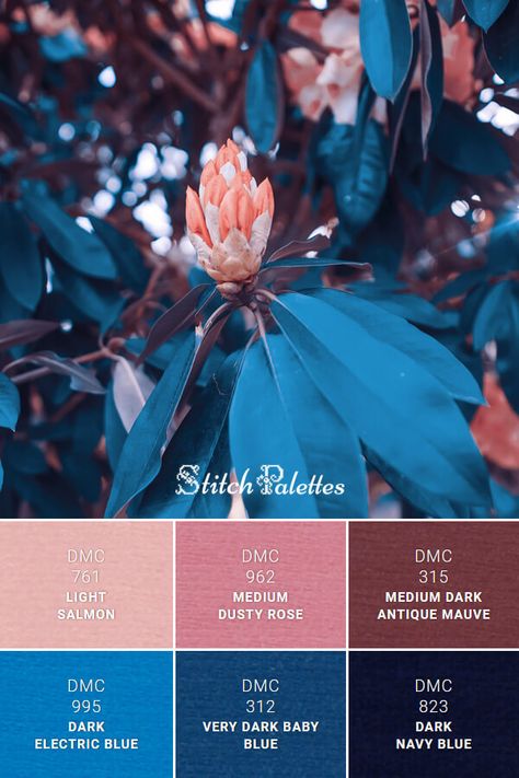 Navy Teal Pink Color Schemes, Electric Blue Colour Combinations, Brown Pink Blue Color Palette, Dusty Rose And Blue Color Palette, Blue Velvet Color Palette, Dark Blue Green Pink Color Palette, Navy Blue And Salmon Wedding, Dark Blue Contrast Colors, Color Schemes Colour Palettes Pink