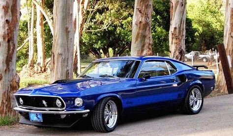 1969 Mach 1 Mustang In Electric Blue Ain't she a beaut? True blue right there... 1969 Mustang Mach 1, 1969 Mach 1, 69 Mustang, Classical Cars, Auto Ford, Mobil Mustang, Blue Mustang, Luxe Auto's, 1969 Ford Mustang