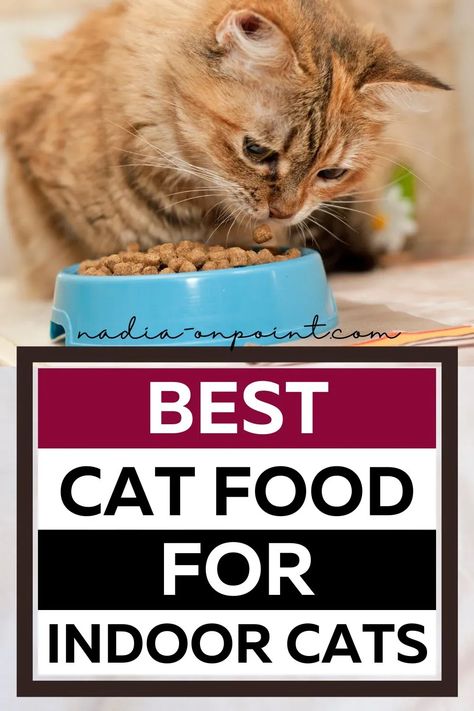 Pets and Pet Parent Gift Ideas! Here are some of the best Best Cat Food for Indoor Cats. best wet cat food for indoor cats | best dry cat food for indoor cats. Gift for Cats. Gifts for Cat Parent and cat lovers. #cats #catfood #pets Best Food For Cats, Best Cat Food For Indoor Cats, Cat Food Products, Parent Gift Ideas, Cat Wet Food, Kiki Cat, Homemade Cat Food, Best Cat Food, Food Budget