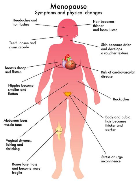 #Menopause, what to expect, symptoms and how to manage the changes. Low Estrogen Symptoms, Too Much Estrogen, Low Estrogen, Estrogen Dominance, Essential Oil Benefits, Oil Benefits, Best Essential Oils, Hot Flashes, Herbal Supplements